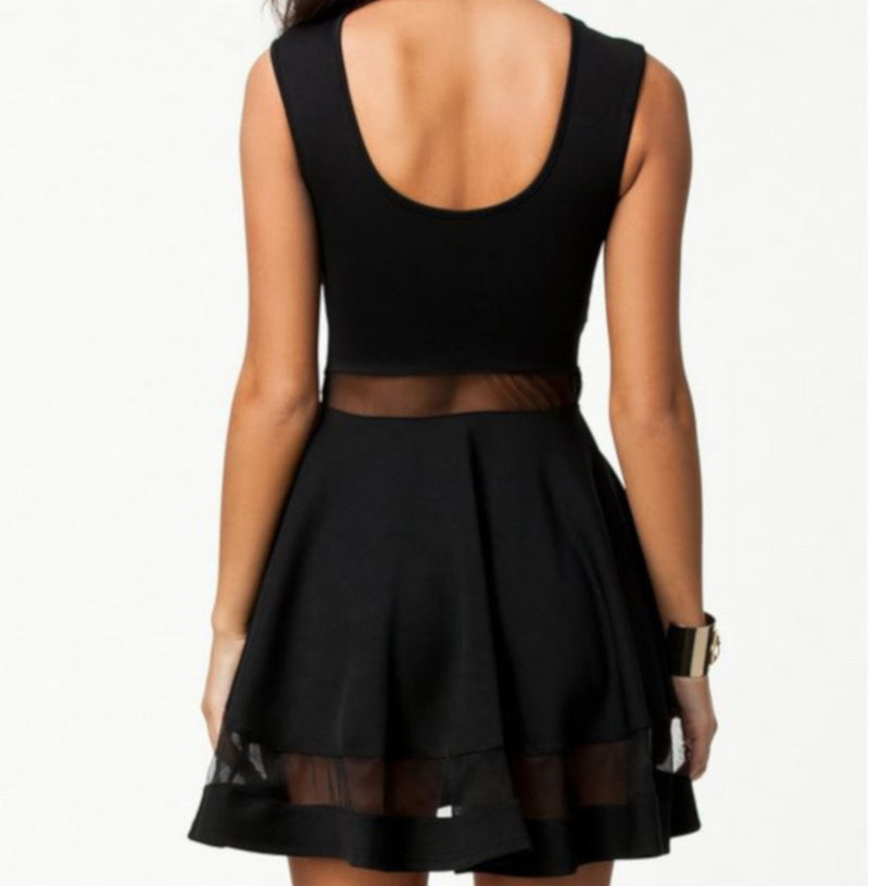 Elegant Vintage Black Mesh Sleeveless Pleated Skater Dress