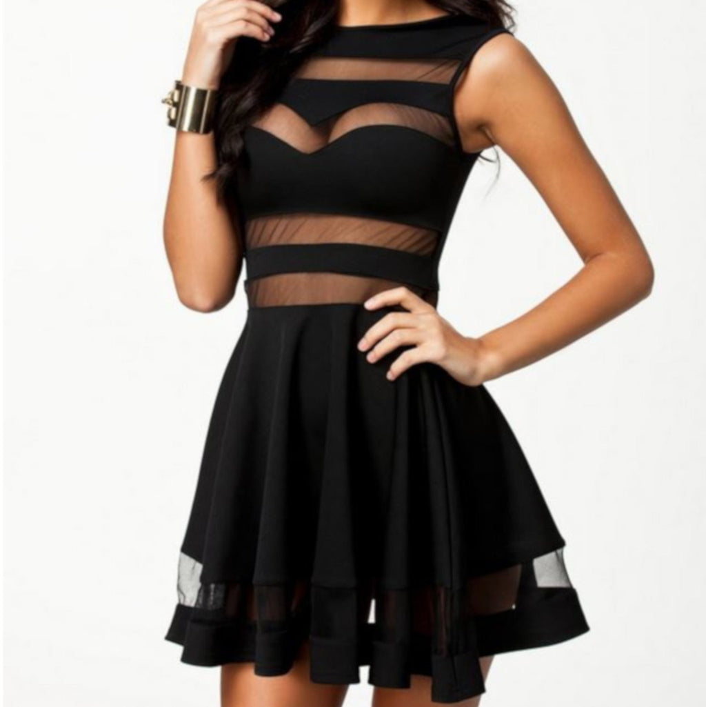 Elegant Vintage Black Mesh Sleeveless Pleated Skater Dress